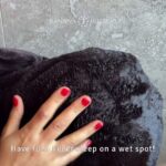 Showing the velvety flannel fleece and overall impression of this waterproof blanket